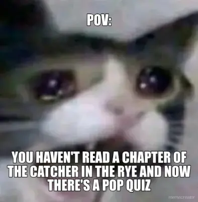 POV: - YOU HAVEN'T READ A CHAPTER OF
THE CATCHER IN THE RYE AND NOW
THERE'S A POP QUIZ