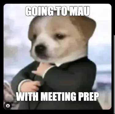 GOING TO MAU - WITH MEETING PREP