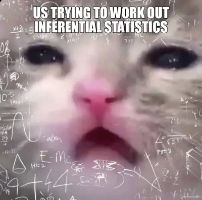 US TRYING TO WORK OUT INFERENTIAL STATISTICS meme
