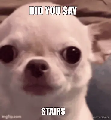 DID YOU SAY  - STAIRS meme