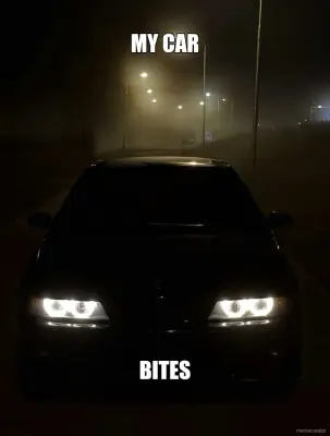 MY CAR - BITES meme