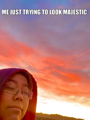 ME JUST TRYING TO LOOK MAJESTIC meme