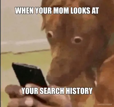 WHEN YOUR MOM LOOKS AT - YOUR SEARCH HISTORY meme