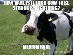 HOW RARE IS IT FOR A COW TO BE STRUCK BY LIGHTNING? - MEDIUM RARE meme