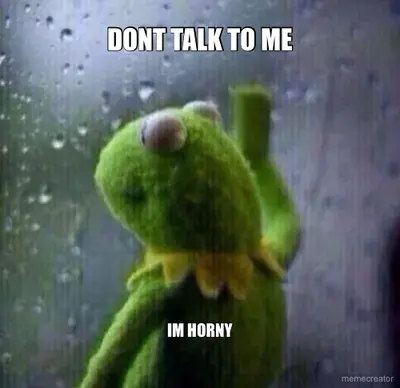 DONT TALK TO ME - IM HORNY meme