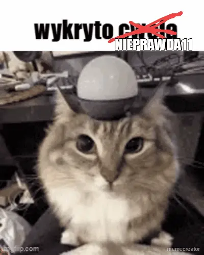 NIEPRAWDA11 meme
