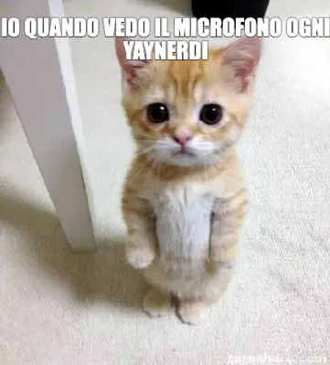 IO QUANDO VEDO IL MICROFONO OGNI YAYNERDI meme