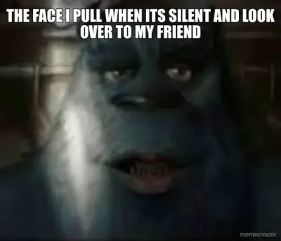 THE FACE I PULL WHEN ITS SILENT AND LOOK OVER TO MY FRIEND meme