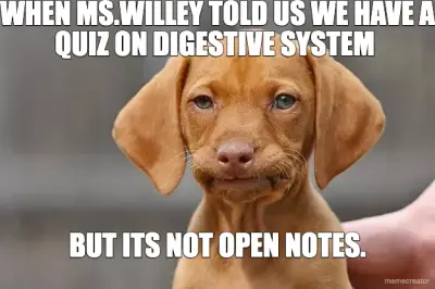 WHEN MS.WILLEY TOLD US WE HAVE A QUIZ ON DIGESTIVE SYSTEM  - BUT ITS NOT OPEN NOTES. meme