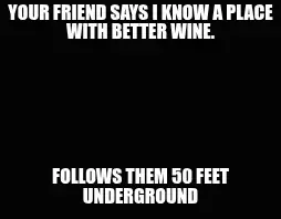 YOUR FRIEND SAYS I KNOW A PLACE WITH BETTER WINE. — FOLLOWS THEM 50 FEET UNDERGROUND meme