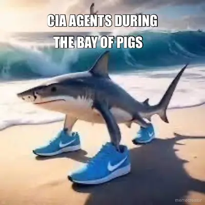 CIA AGENTS DURING - THE BAY OF PIGS meme