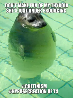 DON'T MAKE FUN OF MY THYROID SHE'S JUST UNDER PRODUCING  — #CRETINISM
#HYPOSECREATION OF T4 meme