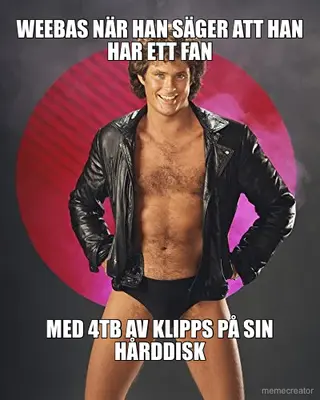 WEEBAS NÄR HAN SÄGER ATT HAN HAR ETT FAN - MED 4TB AV KLIPPS PÅ SIN HÅRDDISK meme