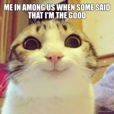 ME IN AMONG US WHEN SOME SAID THAT I'M THE GOOD meme