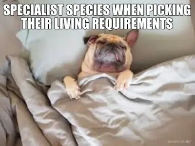 SPECIALIST SPECIES WHEN PICKING THEIR LIVING REQUIREMENTS Meme ...