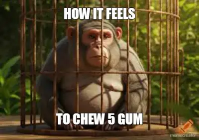 HOW IT FEELS - TO CHEW 5 GUM meme