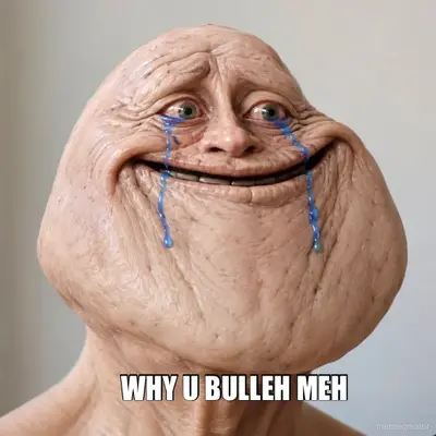 WHY U BULLEH MEH meme