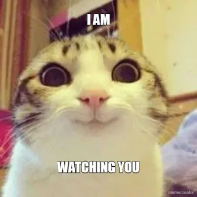 I AM - WATCHING YOU meme