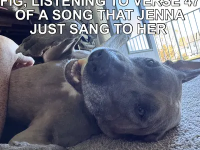 FIG, LISTENING TO VERSE 47 OF A SONG THAT JENNA JUST SANG TO HER meme