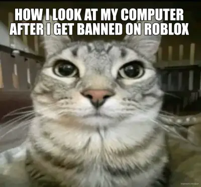 HOW I LOOK AT MY COMPUTER AFTER I GET BANNED ON ROBLOX meme