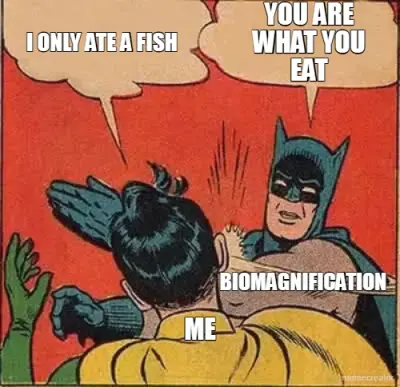 BIOMAGNIFICATION - ME - I ONLY ATE A FISH - YOU ARE WHAT YOU EAT meme