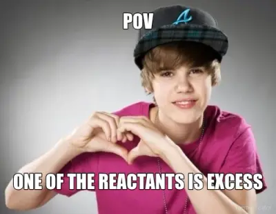 POV - ONE OF THE REACTANTS IS EXCESS meme