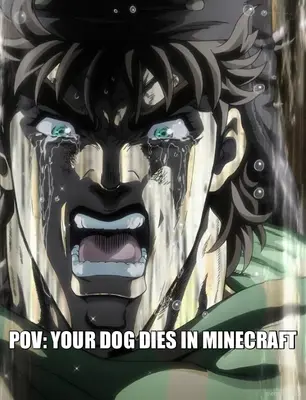 POV: YOUR DOG DIES IN MINECRAFT meme