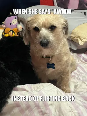 WHEN SHE SAYS “AWWW” - INSTEAD OF FLIRTING BACK meme