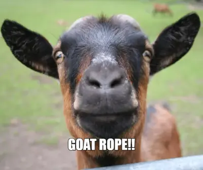 GOAT ROPE!! meme