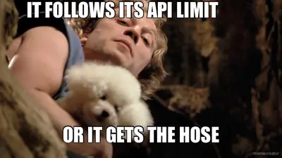 IT FOLLOWS ITS API LIMIT - OR IT GETS THE HOSE