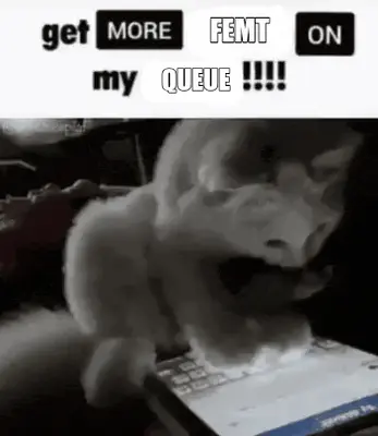 FEMT — QUEUE Meme Generator: Make a FEMT — QUEUE Meme Free | Meme Creator