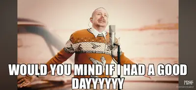 WOULD YOU MIND IF I HAD A GOOD DAYYYYYY meme