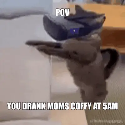 POV - YOU DRANK MOMS COFFY AT 5AM meme