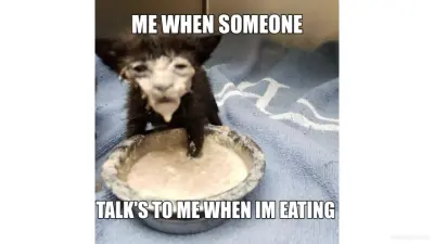 ME WHEN SOMEONE - TALK'S TO ME WHEN IM EATING meme