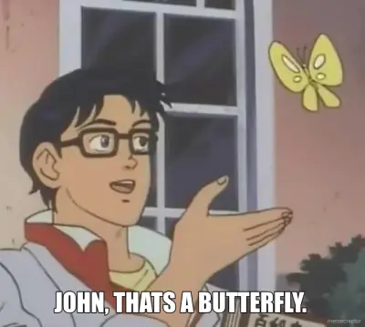 JOHN, THATS A BUTTERFLY. meme