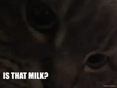 IS THAT MILK? meme