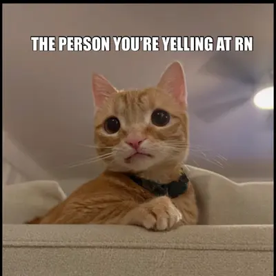 THE PERSON YOU’RE YELLING AT RN meme