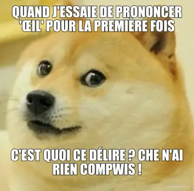 QUAND J'ESSAIE DE PRONONCER 'ŒIL' POUR LA PREMIÈRE FOIS - C'EST QUOI CE DÉLIRE ? CHE N'AI RIEN COMPW meme