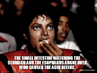 THE SMALL INTESTINE WATCHING THE STOMACH AND THE ESOPHAGUS ARGUE OVER WHO CAUSED THE ACID REFLUX. meme