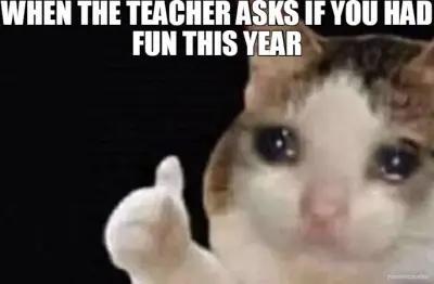 WHEN THE TEACHER ASKS IF YOU HAD FUN THIS YEAR meme