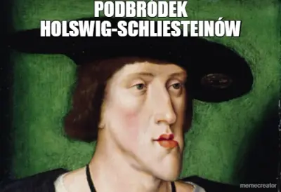 PODBRÓDEK HOLSWIG-SCHLIESTEINÓW meme