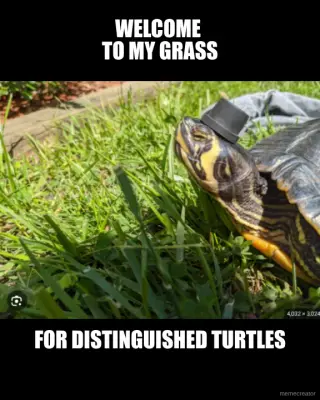 WELCOME 
TO MY GRASS - FOR DISTINGUISHED TURTLES meme