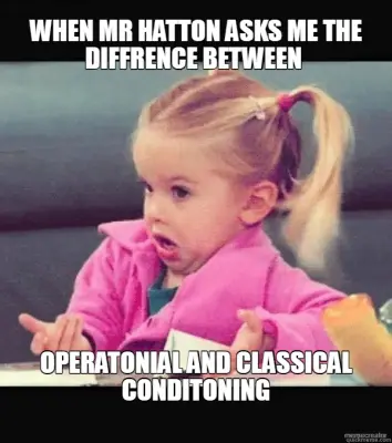 WHEN MR HATTON ASKS ME THE DIFFRENCE BETWEEN  - OPERATONIAL AND CLASSICAL CONDITONING meme
