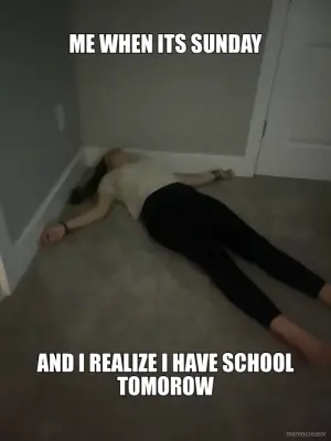ME WHEN ITS SUNDAY - AND I REALIZE I HAVE SCHOOL TOMOROW