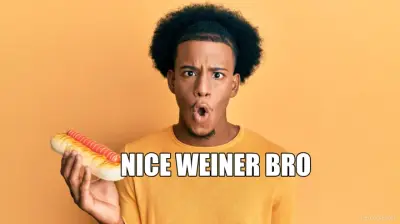 NICE WEINER BRO meme