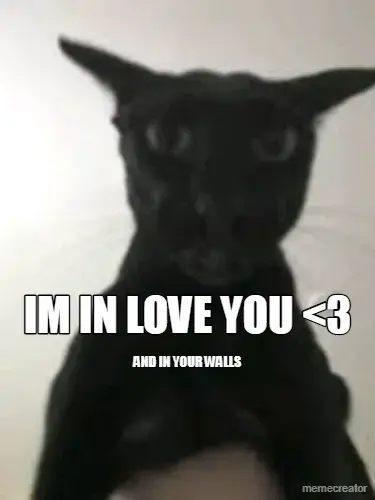 IM IN LOVE YOU <3 - AND IN YOUR WALLS meme