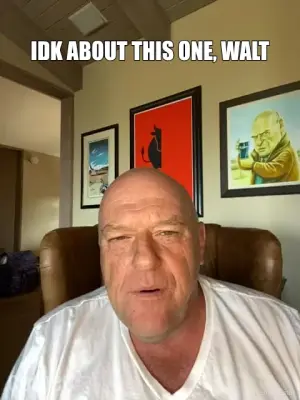 IDK ABOUT THIS ONE, WALT meme