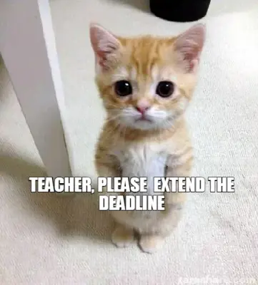 TEACHER, PLEASE  EXTEND THE DEADLINE meme
