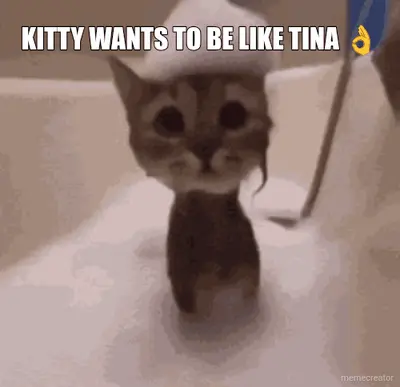 KITTY WANTS TO BE LIKE TINA 👌 meme