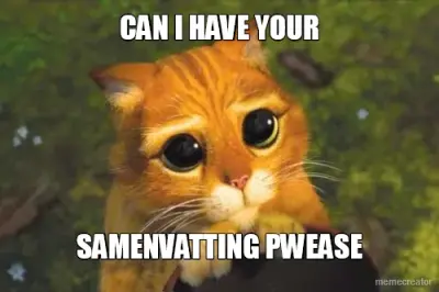 CAN I HAVE YOUR - SAMENVATTING PWEASE meme